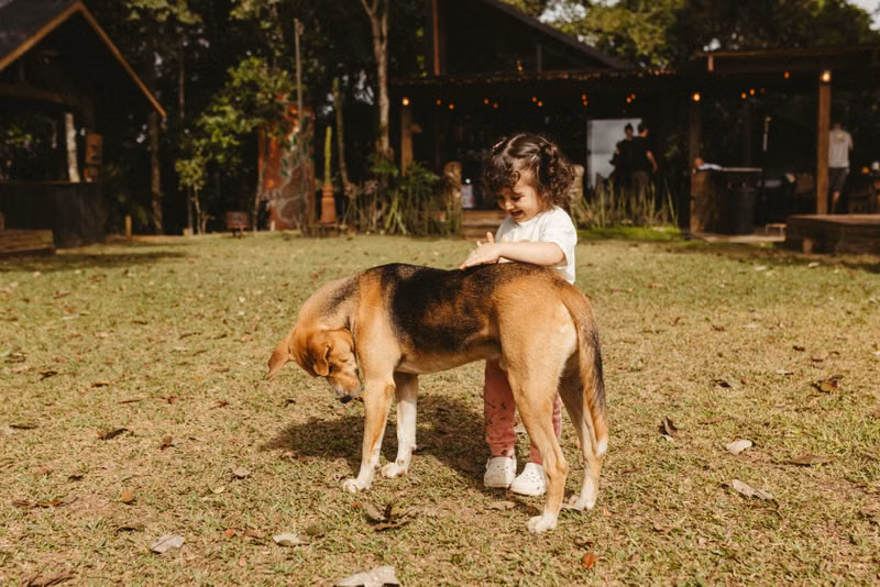 Dog playing in a clean residential backyard
